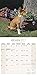 Basenji Calendar 2017 - Dog Breed Calendars - 2016 - 2017 wall calendars - 16 Month by Avonside