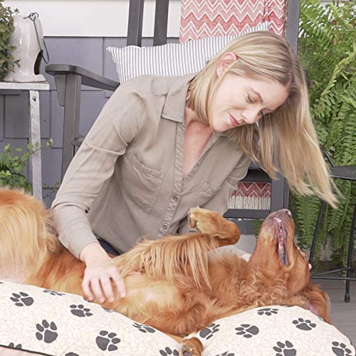 My Pillow Dog Bed [Large, Blue] Pricepulse