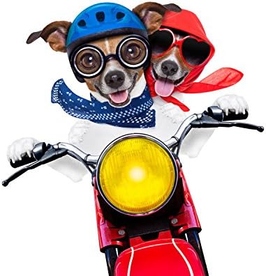 Amazon Yanqiao ウォールステッカー はがせる壁紙 カップルの犬がオートバイでドライブをしている おしゃれでかわいいのシール式 壁飾り 縁額なし ウォールステッカー オンライン通販