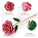 GRECEDAY Love Forever Long Stem Gold Foil Trim Red Rose Flower with Transparent Stand, Best Gift for Valentines Day, Mothers Day, Anniversary, Birthday Gift, Treating Yourself, Galentine's Day (Pink)