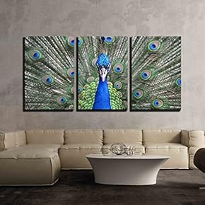 3 Piece Canvas Wall Art - Lady Amherst s Pheasant - Modern Home Art Stretched and Framed Ready to Hang - 16"x24"x3 Panels