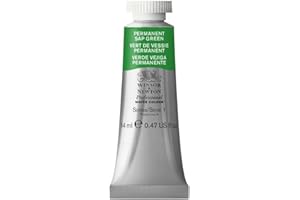 Winsor & Newton Professional Water Color Tube, 14ml, Permanent Sap Green