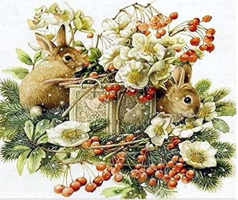 Amazon Co Jp A3サイズ ウサギとさくらんぼ ダイヤモンドアート 全面貼り付けタイプ 四角型 スクエア ビーズ モザイクアート 手芸キット ホーム キッチン