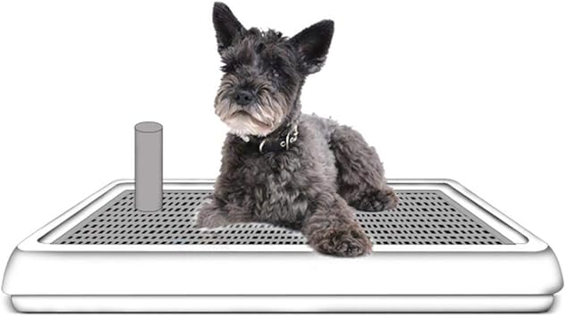 paw by paw dog training