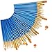 Alritz Acrylic Paint Brush Set, Artist Paint Brushes with Carrying Case for Oil, Watercolor, Face and Body Painting