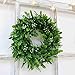 Coxeer Artificial Green Leaf Wreath, 10.25 Inches (About 26.0 Cm) Boxwood Wreath, Farmhouse Wall Window Decoration Front Door Wreath, Wedding Party Decoration