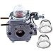 Hipa 753-06190 Carburetor for Troy-Bilt TB22EC TB22 TB80EC TB32EC TB21EC TB2040XP Trimmer Bolens BL110 BL160 M2510 753-06423 WT973 Cub Cad BC280 BC210 RM2510 Trimmer