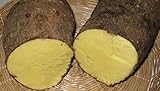 Jamaican Yellow Yam