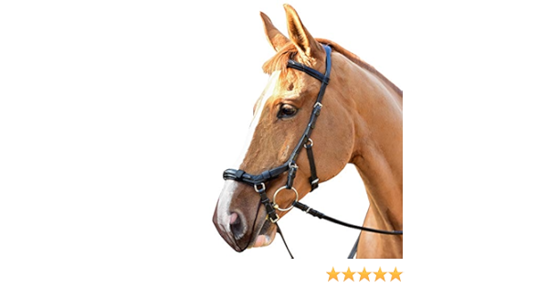 net relief muzzle net