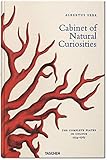 Seba. Cabinet of Natural Curiosities (English, French and German Edition) by