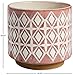 Amazon Brand - Rivet Geometric Ceramic Cylindrical Planter, 8.6