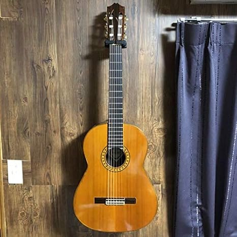Amazon Co Jp Fernandes フェルナンデス Gc 30 Grand Concertシリーズ クラシックギター ホビー Amazon Co Jp Fernandes フェルナンデス Gc 30 Grand Concertシリーズ クラシックギター ホビー
