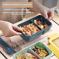 Bento Box Portable Lunch Box for Kids & Adults