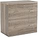 Z-Line Designs 2-Drawer Washed Oak Lateral File Cabinet,