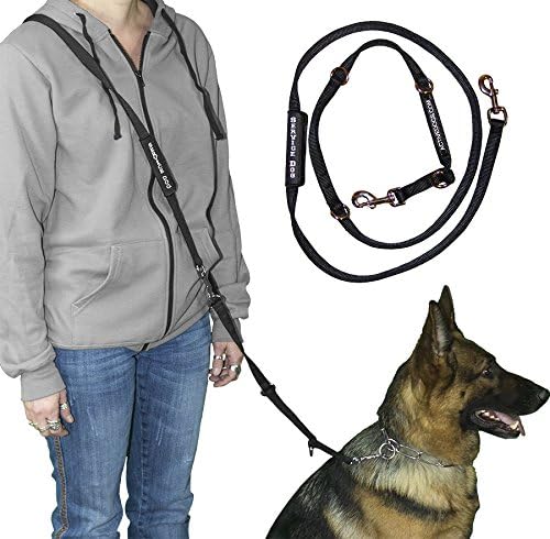 Service dog leashes Clearance