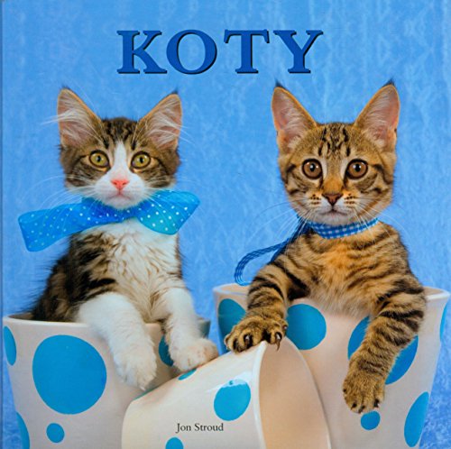 Koty (polish)