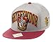 Harry Potter Gryffindor Collegiate Gray Men's Snapback Ballcap