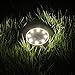 Maggift Solar Ground Lights, 8 LED Garden Pathway Outdoor In-Ground Lights, 4 Pack (Warm White)