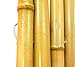 Forever Bamboo Natural Rolled Bamboo Fence 1in D x 6ft H x 8ft L