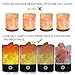 NEWBKO Himalayan Salt Lamp, Crystal Salt Lamp,Natural Air Purifying Dimmable Pink Salt Rock Crystal Amber LED Desk Night Light, Crystal Salt Lamp,with Adjustable 7 Colors Dimmer Control