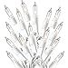 Prextex Christmas 100 Clear White Wire Light Set Christmas Decorations primary