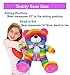 The Noodley Light Up Rainbow Teddy Bear Stuffed Animal LED Plush Night Light Sleep Toy for Girls Birthday (16 inch)