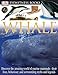 Whale (Eyewitness)