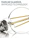 Hyperikon G25 LED Vintage Filament Bulb, Dimmable, 5W (40W Equivalent), 500 lumen, 2700K (Warm White), Medium Base (E26), CRI 80+, UL-Listed - (Pack of 6)
