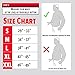 Lifting Belt for Weightlifting, Cross-Training, Olympic Lifting & Bodybuilding | Auto-Lock Padded Nylon Back Support for Squats, Deadlifts Bench Press, Gym, Workout (Black/Red, Large)