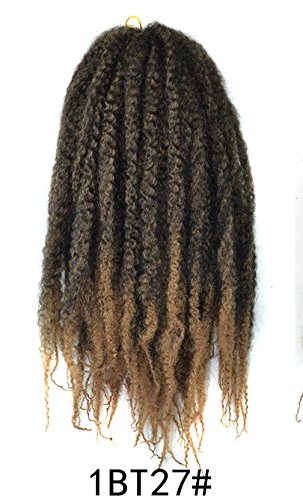 Marley Afro Braid Ombre Hair Extensions, Kinky Curly Bulk Twist Crochet Braids 32 Strands/ Pack, 100g (Black to Honey Black 1BT27)