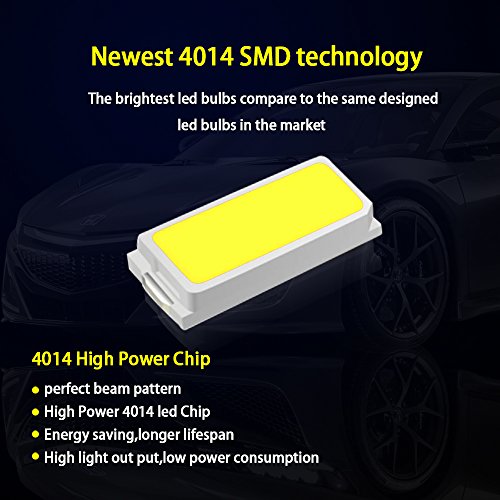 31mm Festoon Led Bulbs ,Viesyled 6000K White Light 10-SMD 4041 Chipsets Canbus No Error for 3175 DE3175 DE3021 3022 3021 Dome License Plate Door Lights Pack of 20