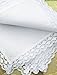 6 Pcs Gift Set Womens Lace Wedding 100%Cotton Handkerchiefs White