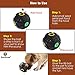 SunGrow Mini Pig Treat Dispenser