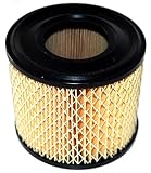 wadoy Air Filter for Briggs & Stratton 390930,393957,Ariens 02451900,John Deere PT9334