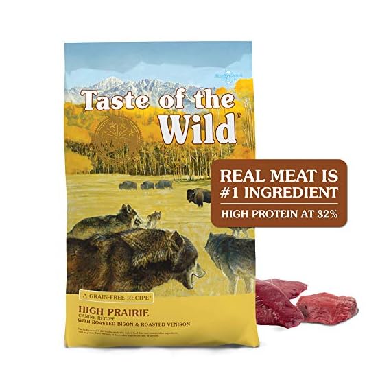 taste of the wild high protein