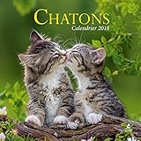 Chatons, calendrier 2018 by 