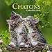 Chatons, calendrier 2018 by 