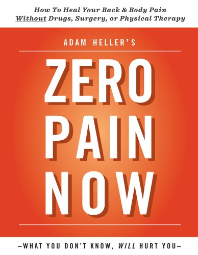 Adam Heller's Zero Pain Now by Adam Heller