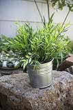 Ikea Artificial Potted Plant Bamboo 11