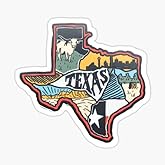STICKY DUDE | Texas Retro USA State Solid Sticker Vinyl Waterproof 3-5" | Yeti Cup Cooler Box Decal Car Laptop Wall Window Bumper (5in)