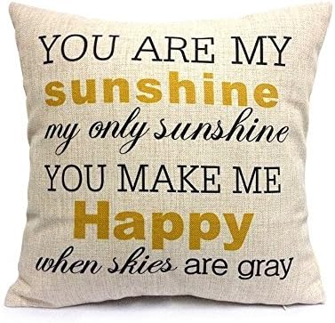 SIXSTARS 18" x 18" Square Throw Pillow Case You Are My Sunshine