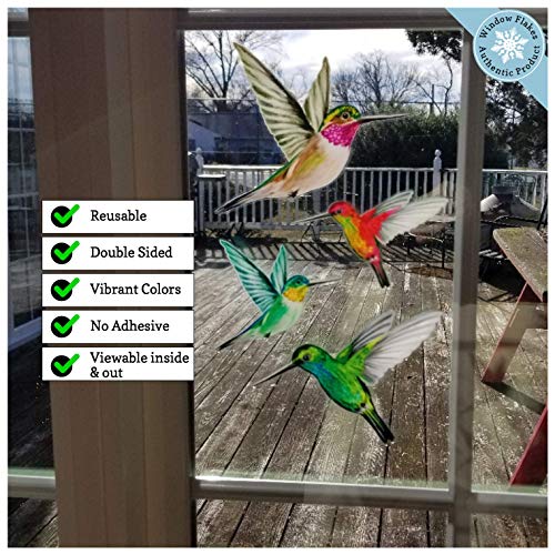 12 Hummingbird Window Clings Beautiful AntiCollision Window Stickers