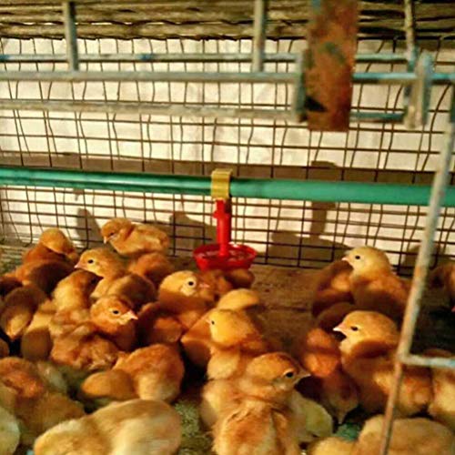 4Pcs Chicken Water Feeder - Geflügeltränke Trinkbecher Kükenfutter für Gartendekoration Vögel und Tiere – Bild 7