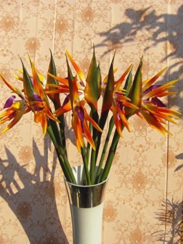 Elefan Artificial Elegant Bird of Paradise - Tropical Flower Bouquet Latex Silk Flower Bouquets 6pcs (orange (lot of 6pcs))