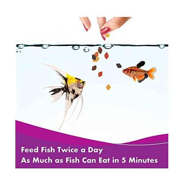 AQUARIAN Complete Nutrition, Aquarium Tropical & Temperate Fish Food Flakes, 50g Container