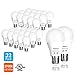 Tenergy 9W LED 60w Equivalent Light Bulb A19 LED Light Bulbs, 750 Lumens Energy Saving Lamp Soft/Warm White 2700K Lights, 32 Pack, Non-Dimmable