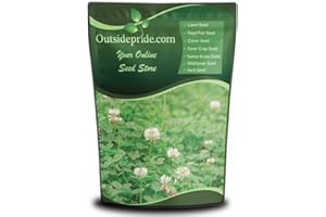 Outsidepride Perennial White Dutch Clover Seed - 2 lbs. Nitrocoated, Inoculated Clover Seeds for Lawn Alternative, Erosion Control, Food Plots, Ground Cover, & Pasture Mixtures in USDA Zones 3-10