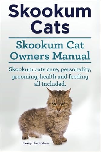 Skookum Cats Skookum Cat Owners Manual Skookum Cats Care Personality Grooming Health And Feeding All Included Hoverstone Henry Amazon Com Books
