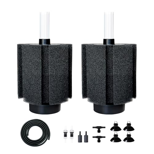 DVHEY Medium Sponge Filter