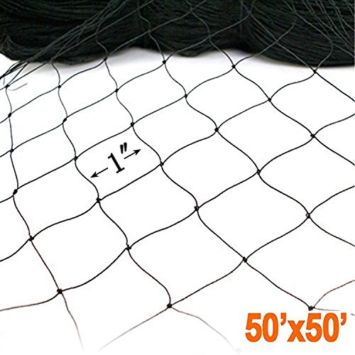 ZL 11 50' X 50' Netting for Bird Poultry Aviary Game Pens New 1" Squa, Black